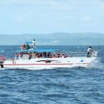 From Punta Cana: Samana Day Trip