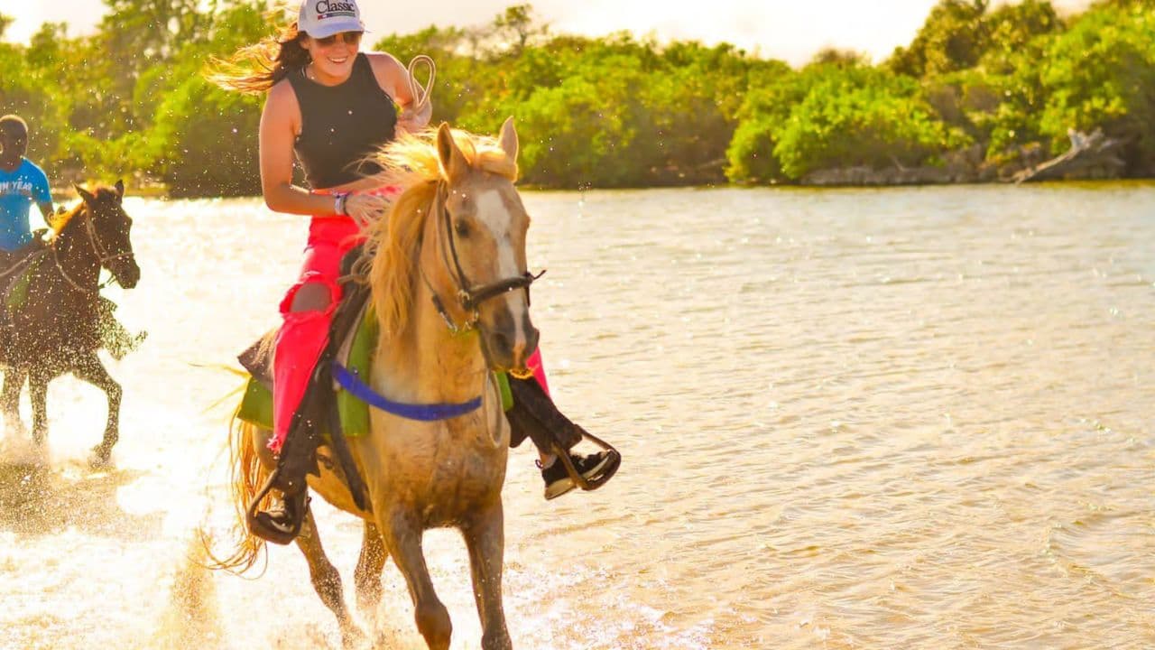 HORSEBACK RIDING BEACH MACAO PUNTA CANA WITH PICKUP HOTEL