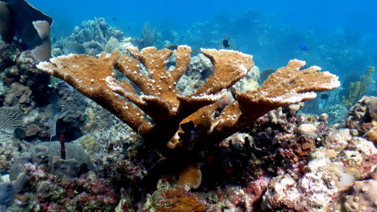 Punta Cana Hiking Tour: Nisibon, Vista Alegre, Anamuya