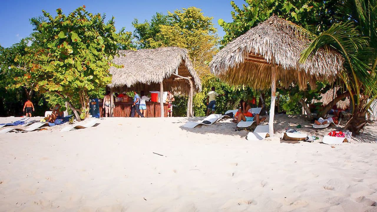 La Romana: Catalina Island Full-Day Snorkeling Tour