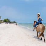 Punta Cana: Horseback Riding Through the Beautiful Beaches