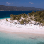 Whale Watching + Cayo Levantado Freedom