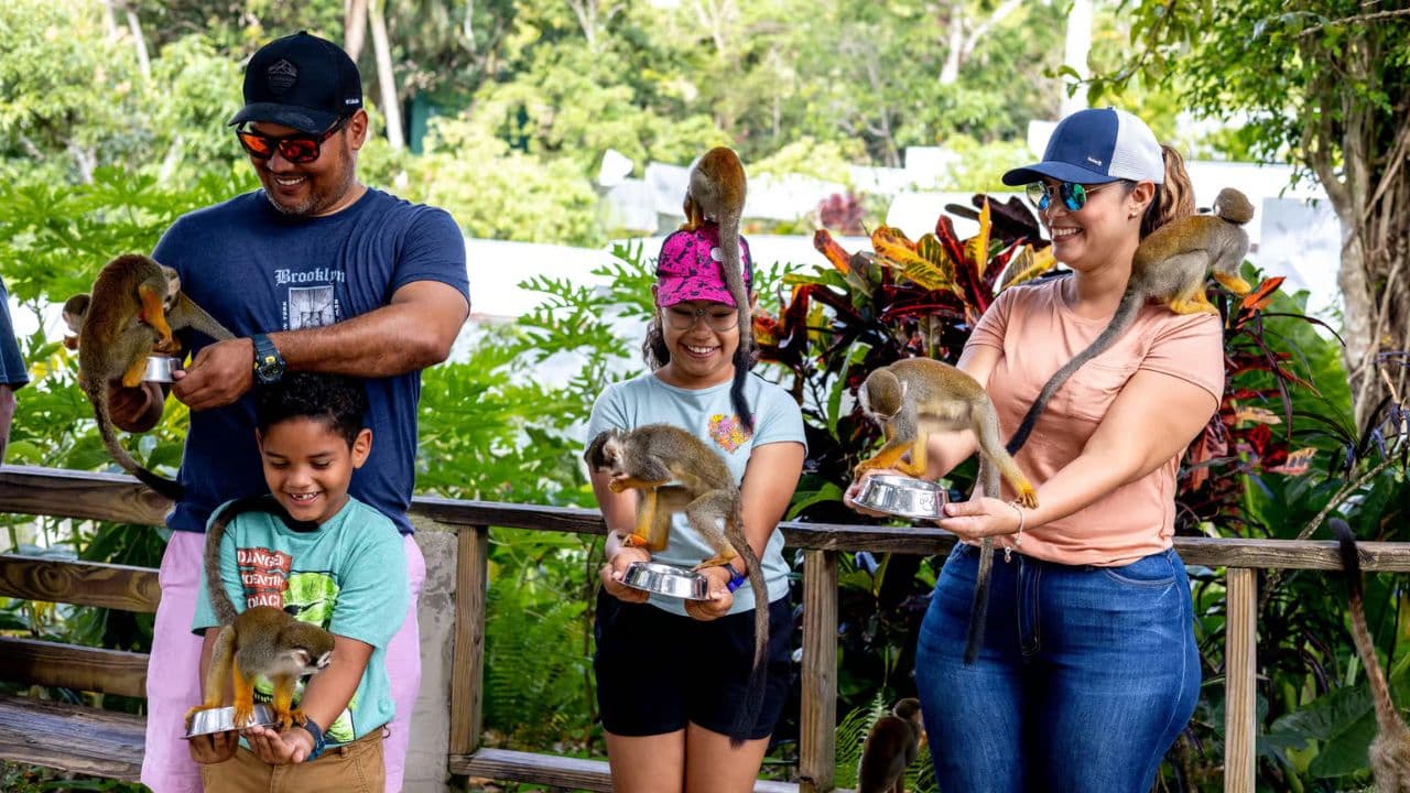 Punta Cana: Horseback Riding Through the Beautiful Beaches