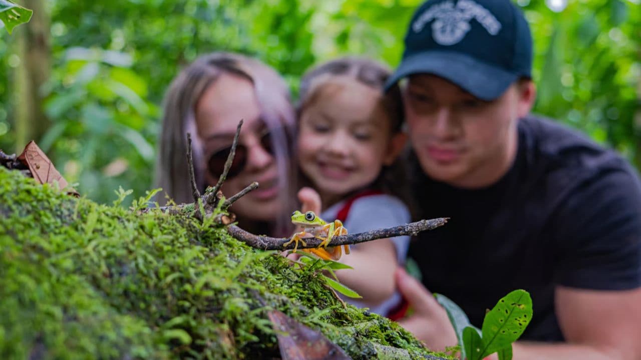 Jungle Eco Tour