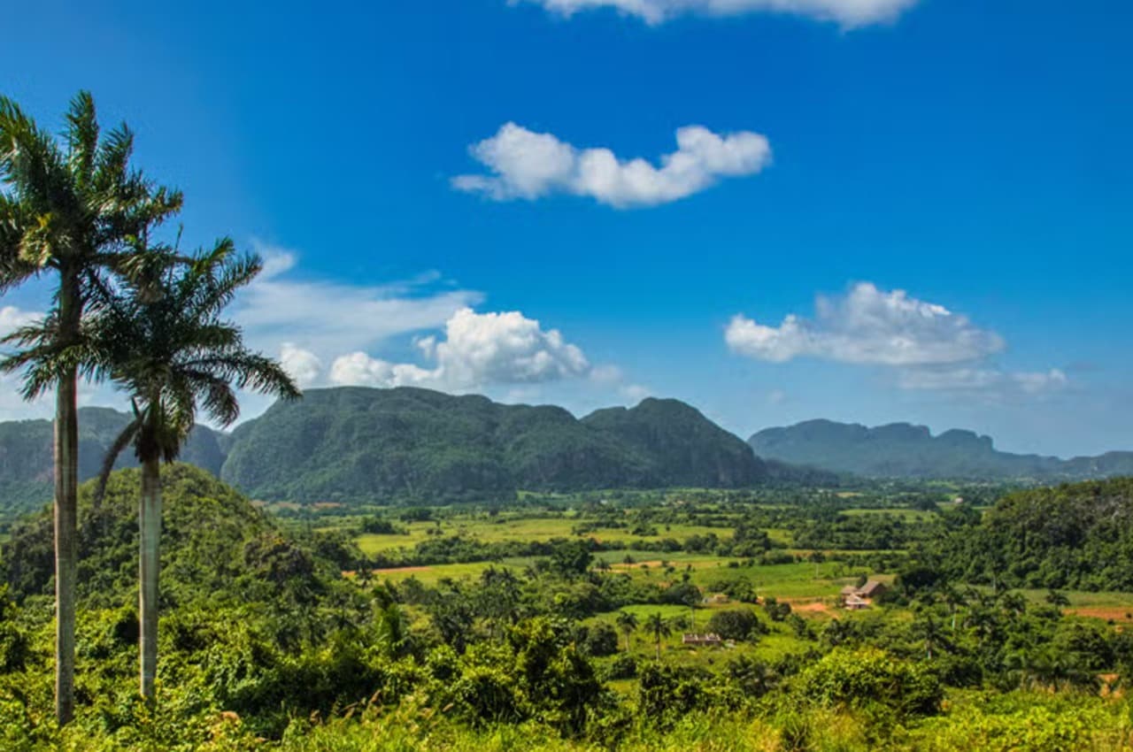 Viñales Valley Carriage Ride