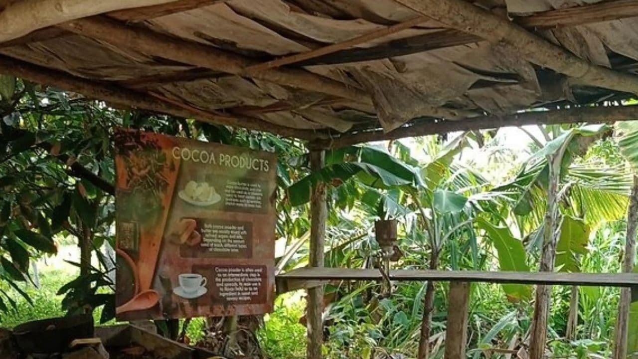 Punta cana: 3 hour panoramic with artisan market small group