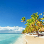 Saona Island Full-Day with Pickup in your Hotel Punta Cana