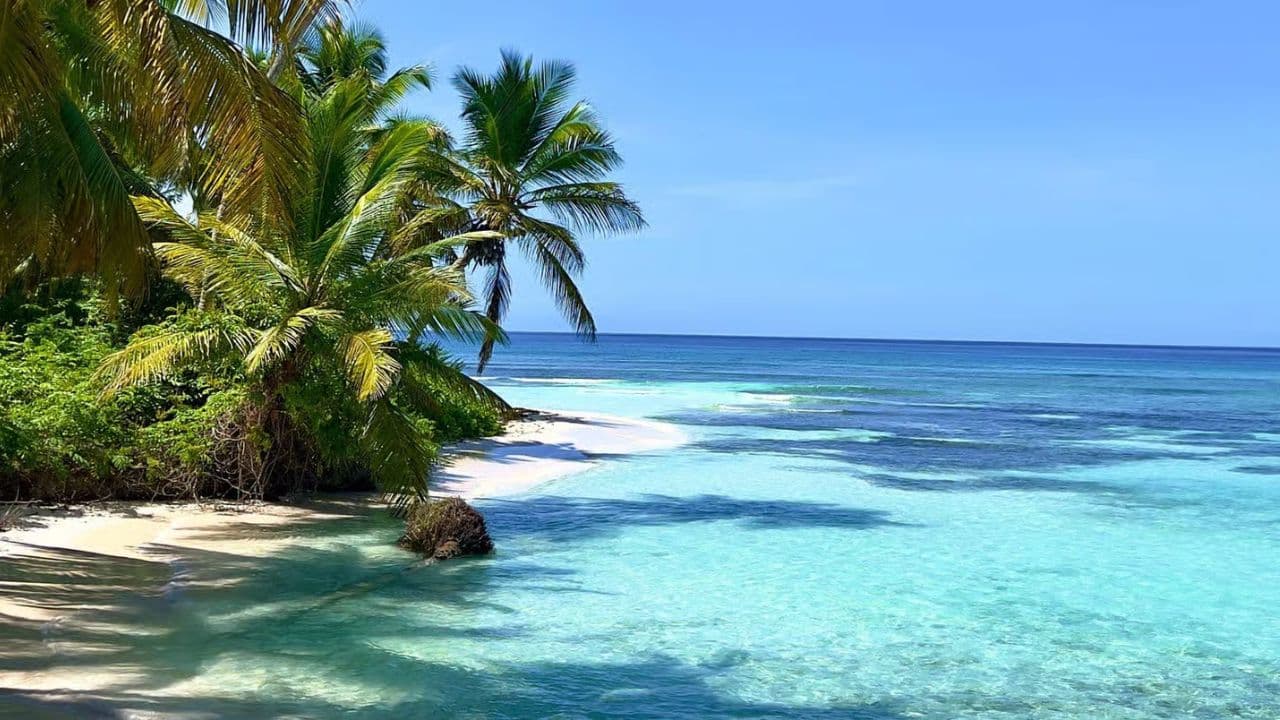 Reliable Airport Transfers to and From Punta Cana Airport