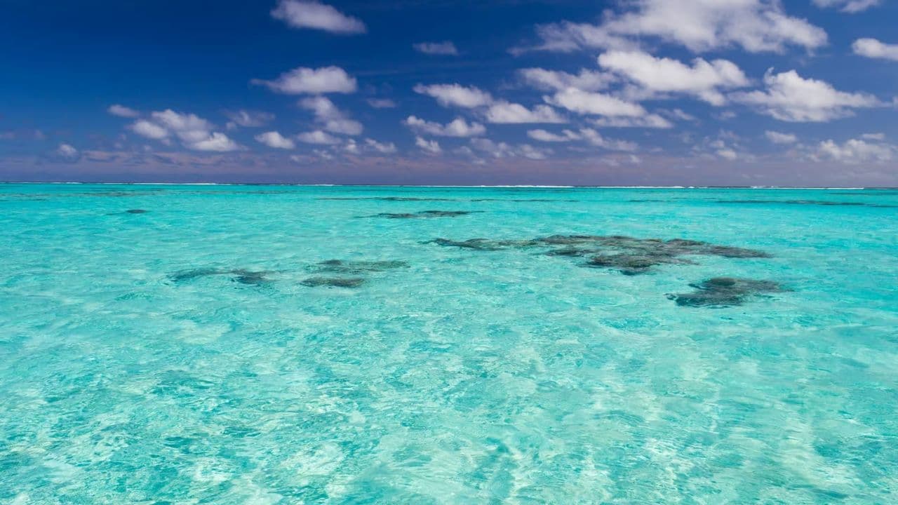 Saona Island catamaran experience with lunch from punta cana