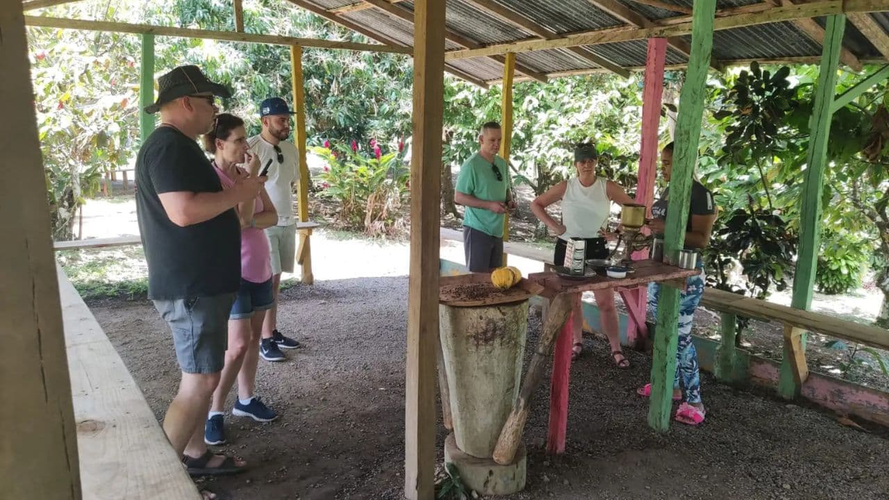 From Punta Cana: Half-Day Dominican Republic Cultural Tour