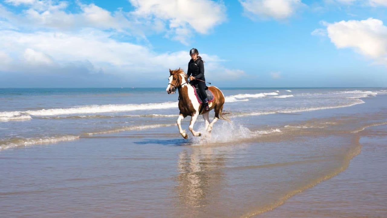 2hour horseback riding adventure on the beach jungle & river