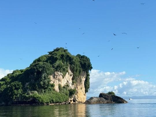 Los Haitises National Park & Cayo Levantado Tour from Samaná Port – Adults $60 | Kids $45