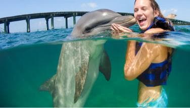 Punta Cana Dolphin Experience: 50 Minutes of Water Fun