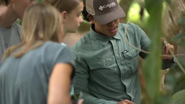 La Fortuna: Sloth & Wildlife Nature Walk