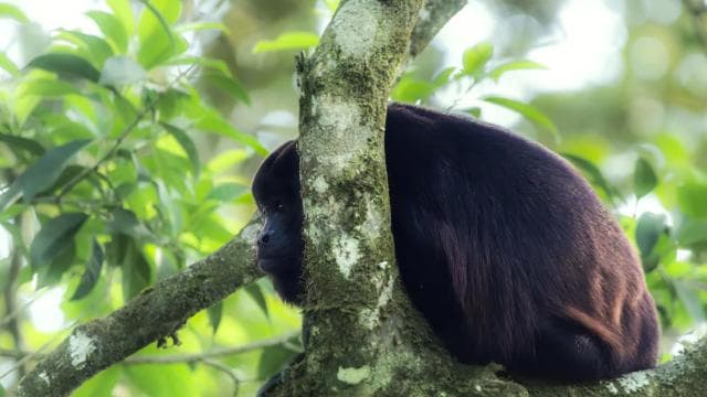 Full day excursion in the cloud Forest