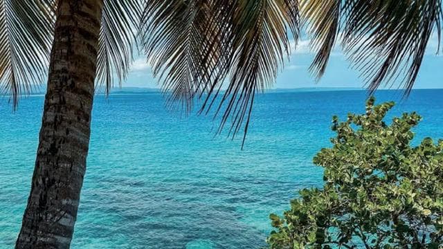 Puerto Rico: Aguadilla West Coast Beaches & Gastronomy Tour