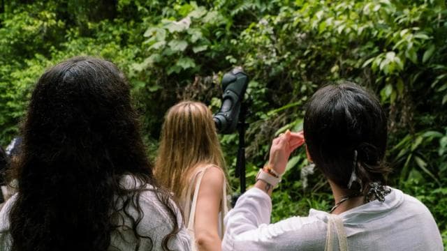 Manuel Antonio Park: Guided Walking Tour with a Naturalist