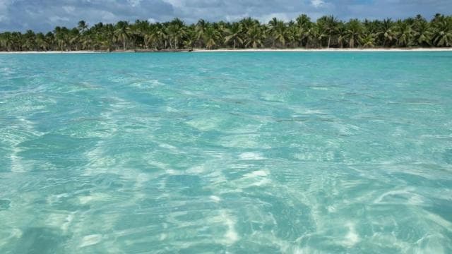 Punta Cana: Saona Island All-Inclusive Day Trip