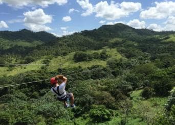 Private: Punta Cana Jungle 12-Cable Zipline Adventure