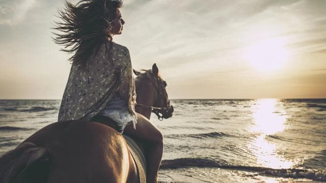 Puerto Rico: Sunset Horseback Rides in Aguadilla Beach