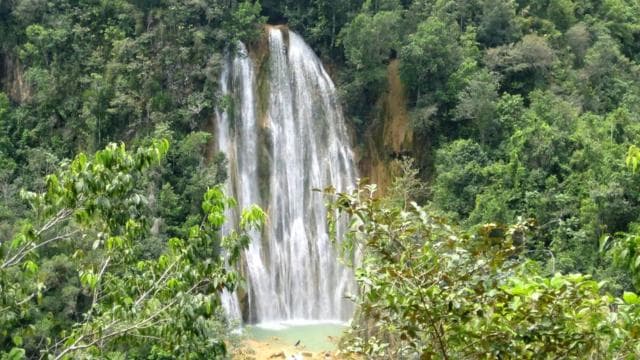 From Punta Cana: Samaná, Cayo Levantado & El Limón Waterfall
