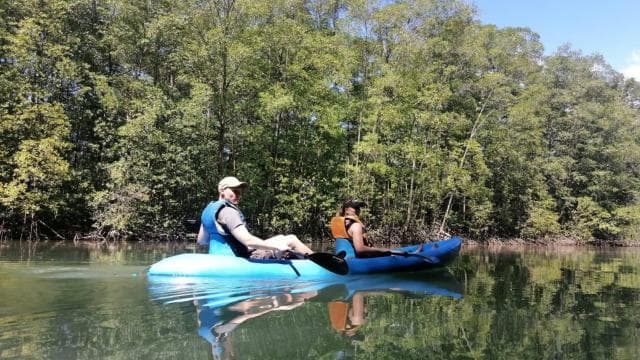 Manuel Antonio: Kayak Tour in the Mangroves to see animals