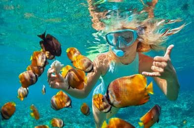 Puerto Plata: Catamaran Snorkeling Trip with Buffet
