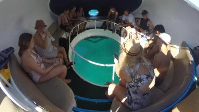 Punta Cana Scuba Doo: Discover Marine Life In a Fun Way