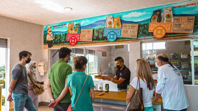 Alajuela: Coffee Plantation Guided Tour with Tasting
