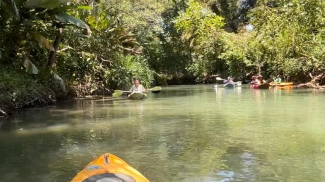 Quepos mangrove tour in Manuel Antonio by boat with monkeys