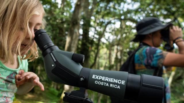 San Jose: Walking Nature Tour with Sloths, Birds, and Trees