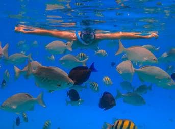 Puerto Plata: Snorkeling Excursion to Sosúa Bay