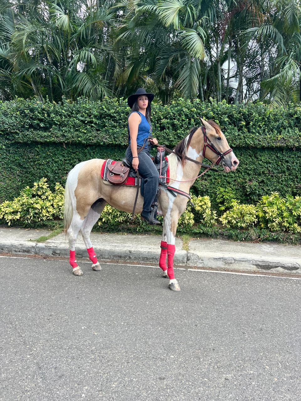Jarabacoa: Horseride Excursion to Salto Baiguate Waterfall