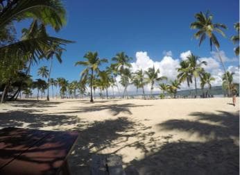 Samana: Whale Watching Tour