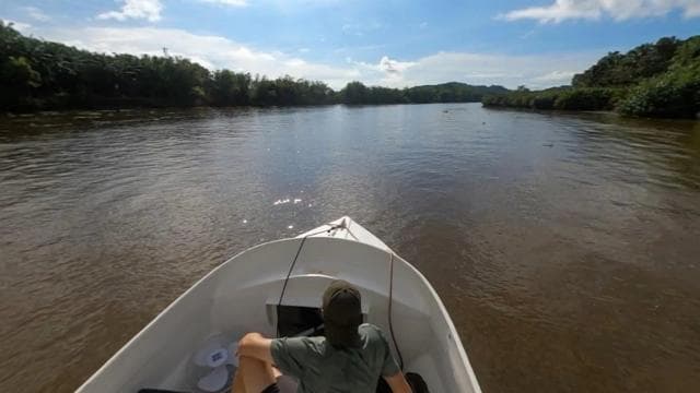 Costa Rica Mangrove Tour: Terraba National Wetlands - Uvita