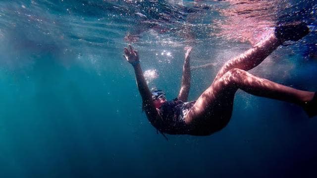 San Juan: Snorkeling with Turtles Adventure and Free Videos