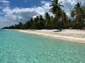 Saona Island: Small Group Virgin Beaches Cruise Day Trip