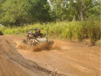 Caribbean Buggy Escape – Bayahibe Jungle & Safari