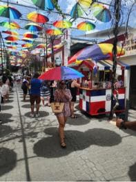 Puerto Plata: Monkey Tour, Fortress, and Historic Center
