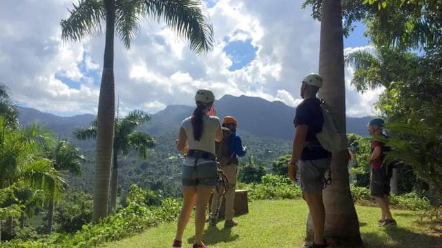 Puerto Rico: Yunque Ziplining at the Rainforest