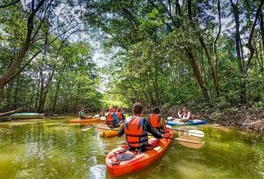 Los Haitises: Sunrise or Sunset wildlife focus