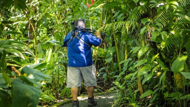 La Fortuna: Sloth Tour in Arenal Volcano Park & Local Snack