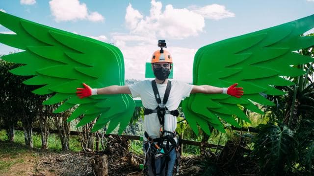 Puerto Rico: Toro Verde Adventure Park- The Monster Zipline