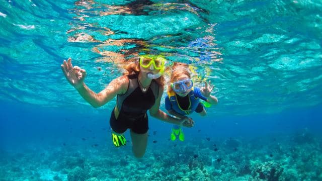 Borinquen: Underwater Magic Snorkel Adventure