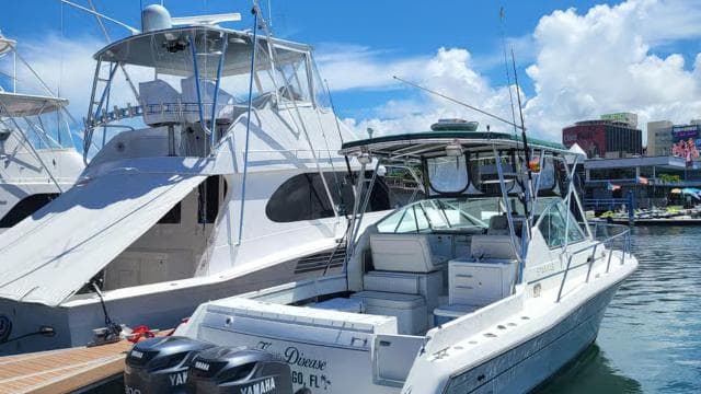 Private "PARTY BOAT" or "SUNSET TOURS" at San Juan Bay