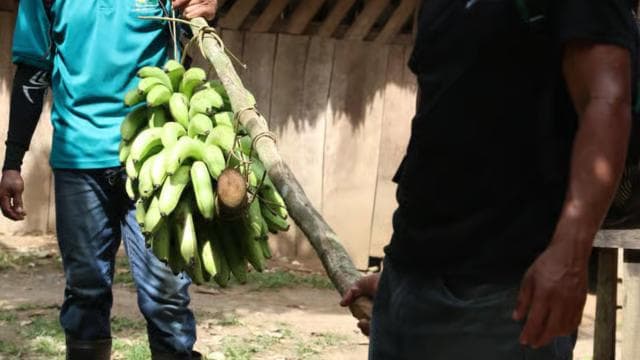 Cahuita National Park+Bribri Chocolate Tour+Waterfalls Tour+Lunch