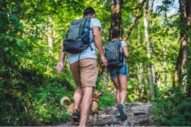 Los Haitises: Cacao & Coffee Rainforest Hike/Boat Tour