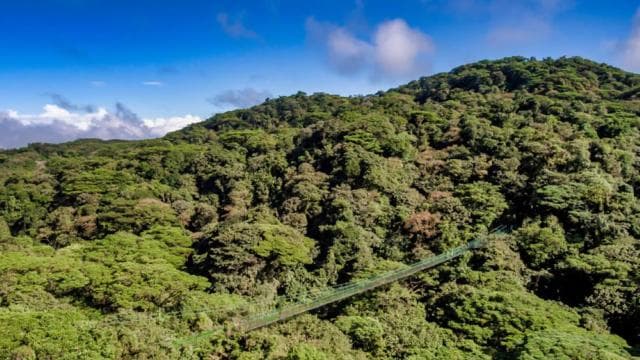 Monteverde: Suspension Bridges, Sloths, and Butterflies