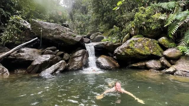 El Yunque: Hidden Off The Path Waterfall Hike w/ Transport