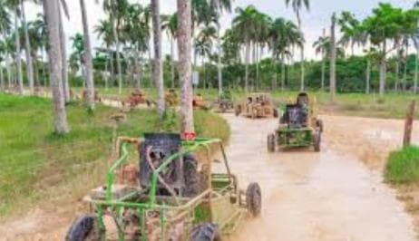 Punta Cana: Saona Island & Buggy Adventure 2-Day Tour